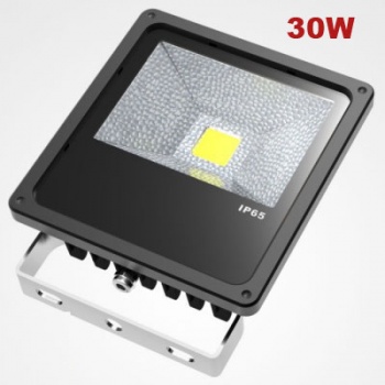 LED30W