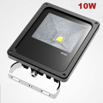 LED10W