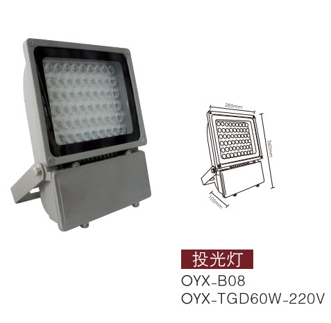 LEDͶ