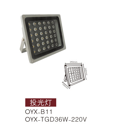 LEDͶ
