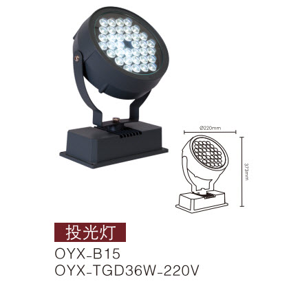 LEDͶ