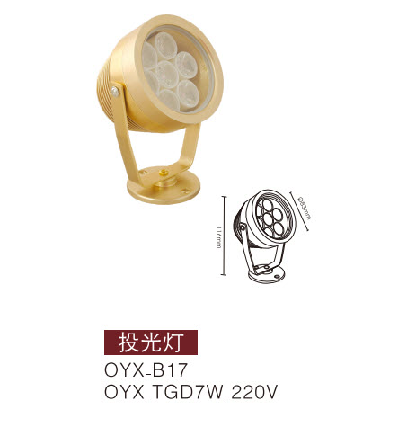 LEDͶ