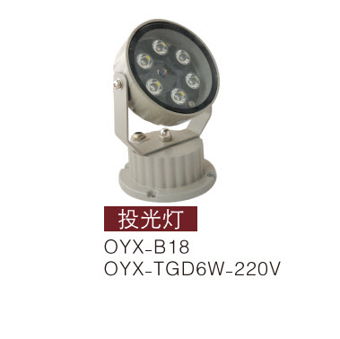 LEDͶ