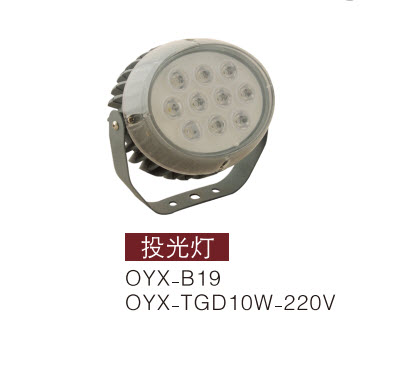 LEDͶ