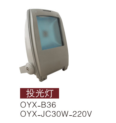 LEDͶ