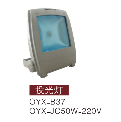 LEDͶ