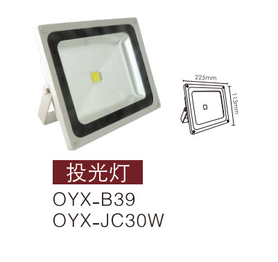 LEDͶ