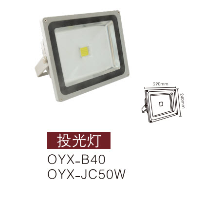 LEDͶ